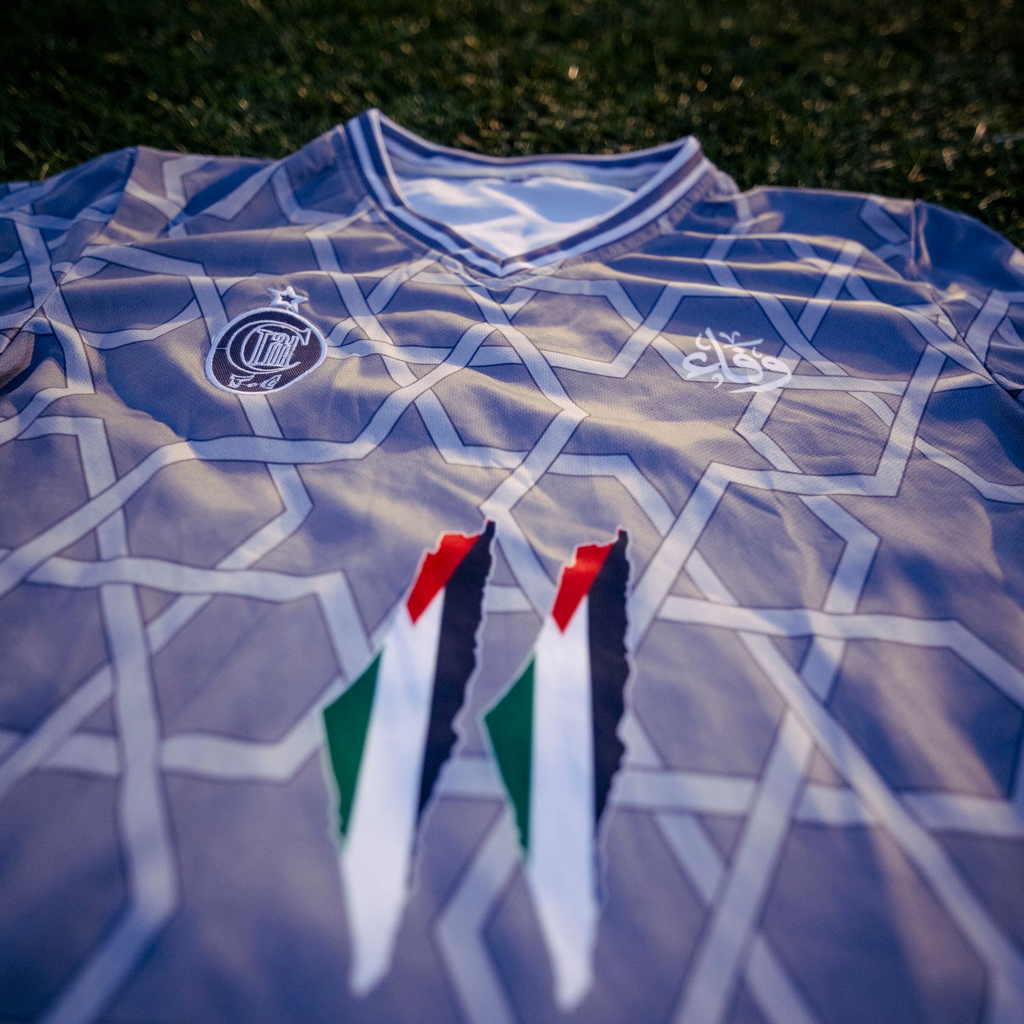 Camiseta Palestina Gris
