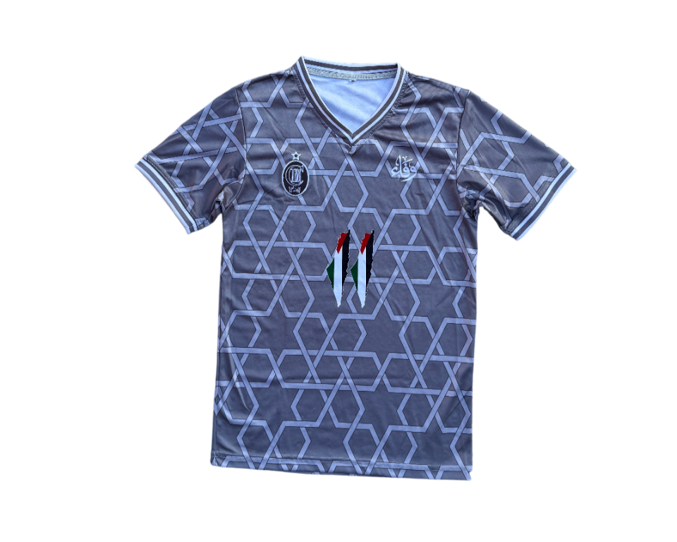 Camiseta Palestina Gris