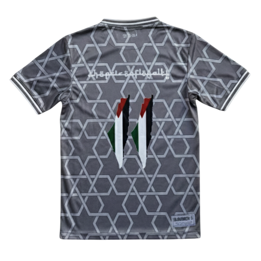 Camiseta Palestina Gris