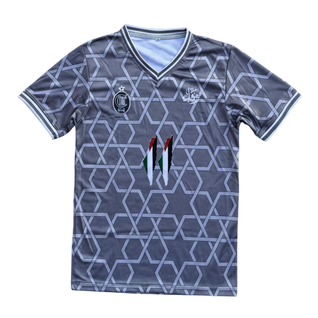 Camiseta Palestina Gris