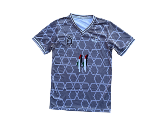 Camiseta Palestina Gris